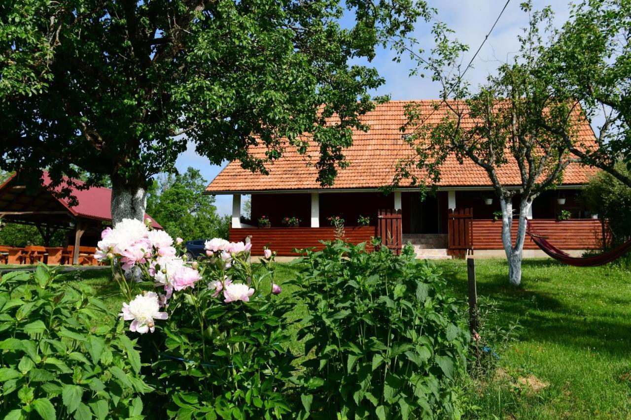 רקוביצה House Luna מראה חיצוני תמונה